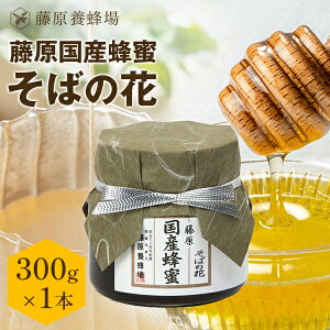 yz{I {X璼 YI ΂̉ KXe 300g Y I ݂͂ n`~c ݂͂ yVsVbv ݂͂X V   ӂ Mtg 