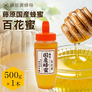 yz{I {X璼 YI SԖ |e 500g Y I ݂͂ n`~c ݂͂ yVsVbv ݂͂X SԖI V  ӂ G߂