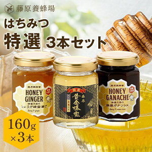 �y�����z�����{�I�� ���Y�͂��݂� ���������I���u�ȁv160g�A�`���R160g�A���傤��160g 3�{�Z�b�g �K���X�r���� �e160g ���Y �I�� �͂��݂� �n�`�~�c ���� �y�V�s������V���b�v �͂��݂��X 