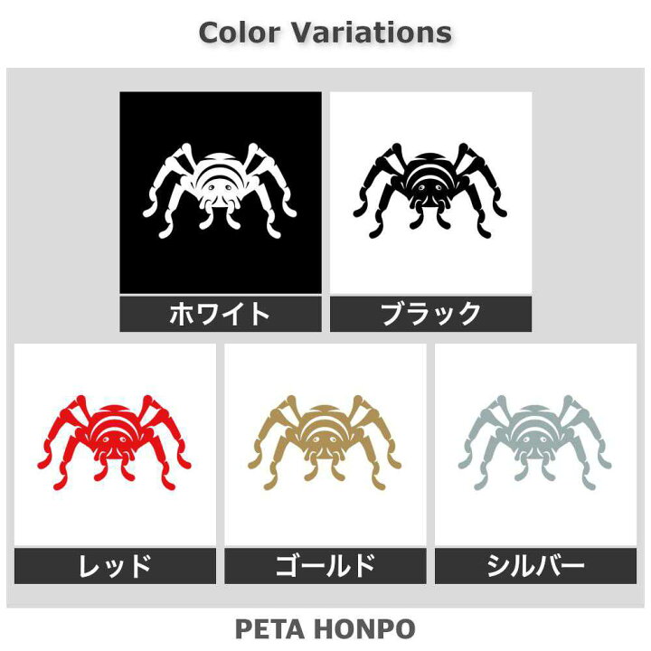 楽天市場】カッティングステッカー 蜘蛛 (D) クモ スパイダー 虫 昆虫 