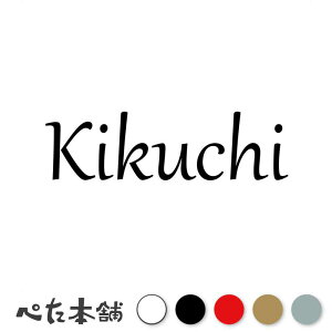 カッティングステッカー Kikuchi 菊地 菊池 きくち 苗字 名字 姓 名前 表札 ローマ字 英語 ネームプレート 看板 シール ステッカー 特大 大きい