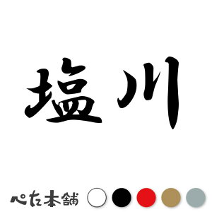 カッティングステッカー 塩川 苗字 名字 姓 名前 表札 ネームプレート 判子 漢字 看板 シール ステッカー 特大 大きい