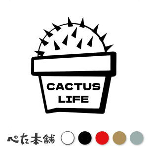 JbeBOXebJ[ CACTUS LIFE JN^XCt A    y      v^[ |bg  傫