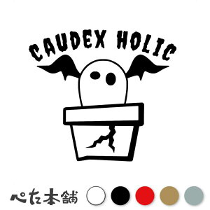 JbeBOXebJ[ CAUDEX HOLIC(򍪐A) R[fbNX  킢  b |bg R[fbNX pL|fBE T{e A A   傫