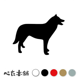 JbeBOXebJ[  (A) hbO ybg 킢   oCN dog Č  傫