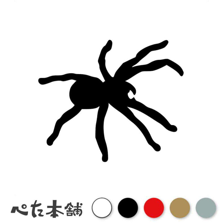 楽天市場】カッティングステッカー 蜘蛛 (A) クモ スパイダー 虫 昆虫 