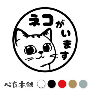 JbeBOXebJ[ lR܂ (A)  L 킢 Ă܂ V[ }[N ybg L܂     傫