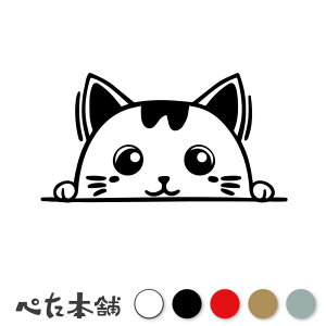 JbeBOXebJ[ ЂL (B) ˂ 킢 `ރlR  cat    `b  V[ LN^[  傫