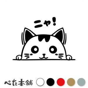 JbeBOXebJ[ ЂL (C) jI ˂ 킢 `ރlR  cat    `b  V[ LN^[  傫