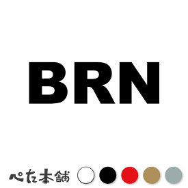 カッティングステッカー BRN ブルネイ 国名コード Brunei Darussalam シール 地名 国旗 世界 特大 大きい