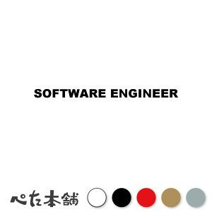 JbeBOXebJ[ SOFTWARE ENGINEER \tgEFAGWjA vO~O Rs[^ IT V[ p E  傫