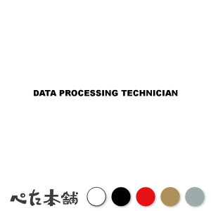 JbeBOXebJ[ DATA PROCESSING TECHNICIAN 񏈗Zp V[ p E  傫