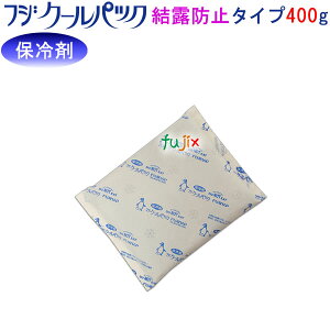 y|Cg5{ vGg[zۗ Ɩp tWN[pbN CP-400FiIh~^Cvj400g×40^P[X