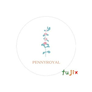 tW R[X^[@yj[Ciی^j1mm 2000i100×20j^P[X