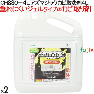 CH880-4L AY}WbNJr 4L×2{^P[X@AY}H