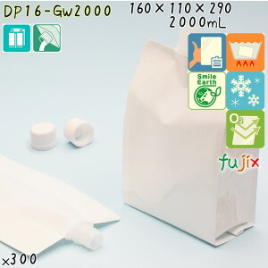 DP16-GW2000 pbN XpEgpE`(Lbvt) K[bg 160×110×290mm 300^P[X XpEga16mm HiOK { JEpbN
