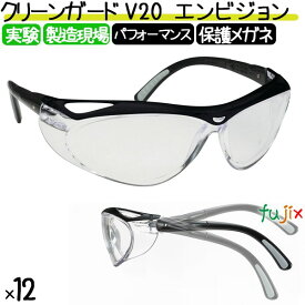 保護メガネ クリーンガード V20 エンビジョン 12個／ケース 67621 曇らない 作業用 実験 保護眼鏡