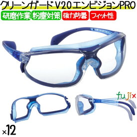 保護メガネ クリーンガード V20 エンビジョン PRO 12個／ケース 67670 作業用 実験 保護眼鏡