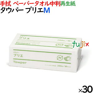 ^Ep[ vGM y[p[^I  220×230mm 200/pbN×30pbN^P[X 50668 Đ