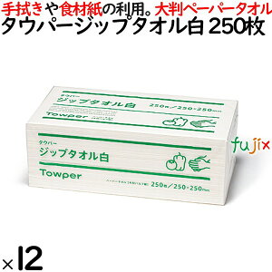 ^Ep[ Wbv^I  y[p[^I 唻 250×250mm 250/pbN×12pbN^P[X 50728 pv