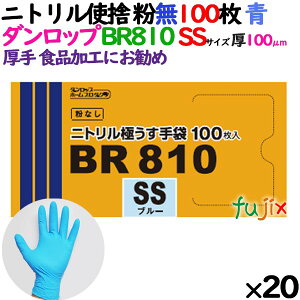 jgO[u  BR810 u[ Ȃ SSTCY 100 ×20^P[X _bv
