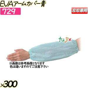 EVAA[Jo[ u[ 300o(12o×25)^P[X y729z N[Jo[ rJo[