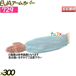 EVAA[Jo[ NAzCg 300o(12o×25)^P[X y729z N[Jo[ rJo[