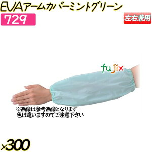 EVAA[Jo[ ~gO[ 300o(12o×25)^P[X y729z N[Jo[ rJo[