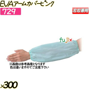 EVAA[Jo[ sN 300o(12o×25)^P[X y729z N[Jo[ rJo[