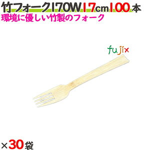 |tH[N 170W 17cm o 3000{i100{×30܁j^P[X yz yĝāz ytH[Nz yGRz y170mmz