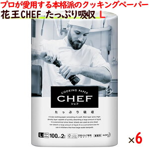 ԉ CHEFiVFtjՂz@LTCY@Ɩp@100×2[×6܁^P[X@w\V[gɂAEEhbvՂƋzsDz^Cv NbLOy[p[ VRp