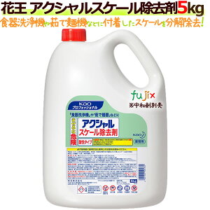 花王 アクシャルスケール除去剤(中和剤別) 5Kg×2本/ケース