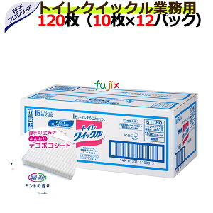 ԉ gCNCbN Ɩp ߂p 120i10×12pbNj^P[X@[ԉ ԉvV[Y gCp gC|]