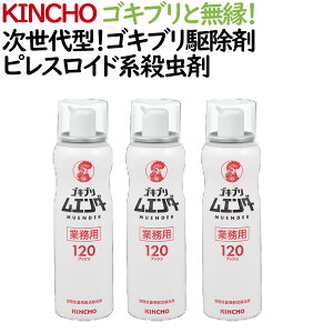 Ɩp SLu쏜 SLuG_[  KINCHO 3{Zbg
