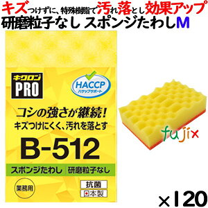 Ɩp X|W 킵 B-512 LNv X|W킵\tg CG[ 120 ^P[X