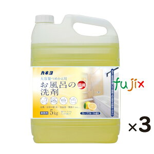 Jl@C̐ 5kg×3^P[X@Ɩp@O[vt[c̍@JlΌ