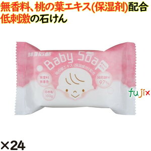 Ԃ΂ 100g 24^P[X Jl΂