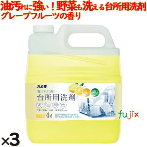 JlΌ@䏊p܁@O[vt[c@4L×3{^P[X