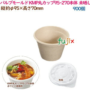 pv[he X[v KMPۃJbv95-270{ i` 900i50×18܁j^P[X eCNAEge   Ɩp 54431i61137j