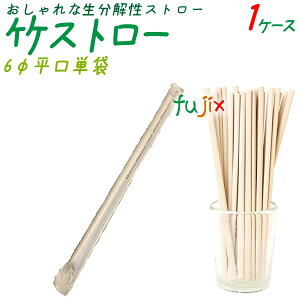 y|Cg5{ vGg[z|Xg[ 6mm  P 4000{^P[X 𐫃Xg[