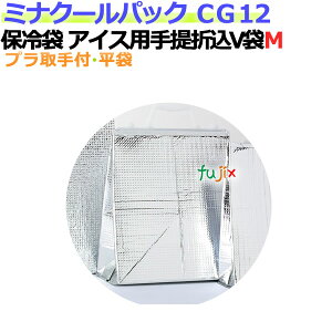 ƖpA~ۗ܃~iN[pbN CG12 ACXp܍ V M 100/P[X