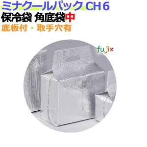 ƖpA~ۗ܃~iN[pbN CH6 pܒ 100/P[X