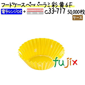 t[hP[X y[p[~   6F 50000(500×100{)^P[X