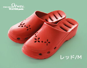 y|Cg5{ vGg[zXbp x_ V[ T_ [V[Y  y  gC x_ EVA Y ʋC ėp r[`T_ C oX ܂Ȃ WA