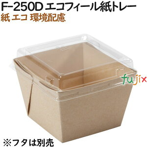  e  F-250D GRtB[g[ 1000i50×20j^P[XyeCNAEgpzyAzyƖpz