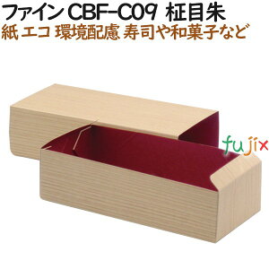 e ĝ ٓ@ t@C CBF-C09 ڎ 500i50×10j^P[XyeCNAEgpzyaَqzyiz