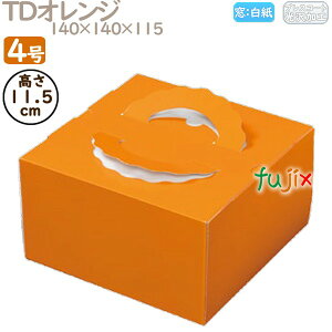 fR[VP[L TDIW 4 200^P[X M20210 P[L@Ɩp