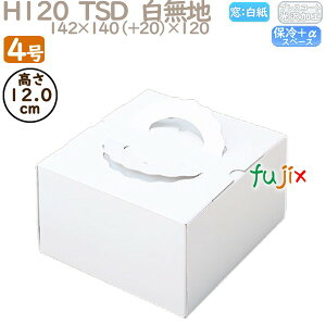 fR[VP[L H120 TSD@n 4 100^P[X O10110 P[L@Ɩp