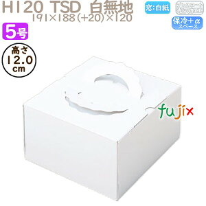 fR[VP[L H120 TSD@n 5 100^P[X O10130 P[L@Ɩp