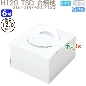 fR[VP[L H120 TSD@n 6 100^P[X O10140 P[L@Ɩp